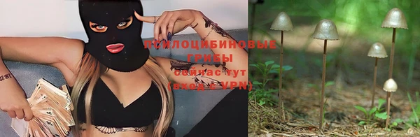 экстази Алексин