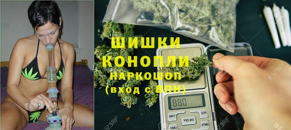 стафф Ростов