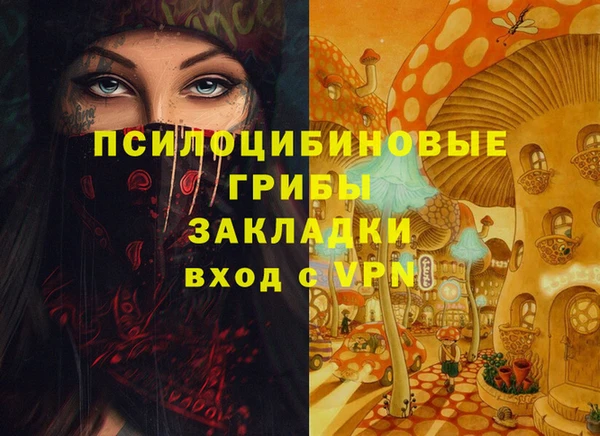 экстази Алексин