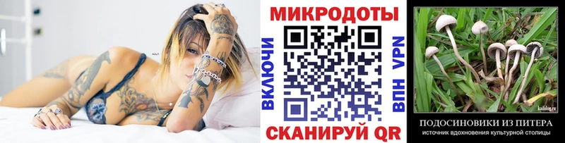как найти наркотики  Волоколамск  мориарти Telegram  Псилоцибиновые грибы Psilocybe 